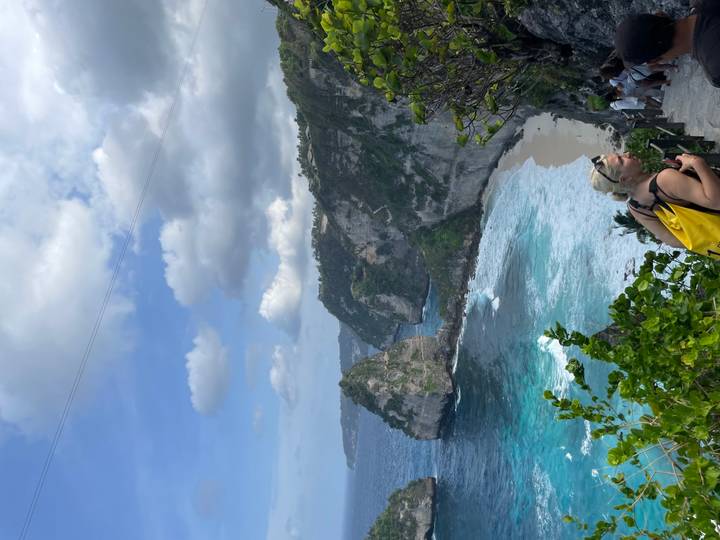 Scenic coastal cliff with lush greenery and a person.
