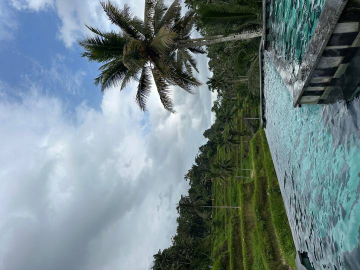 Infinity pool overlooking lush rice paddies.