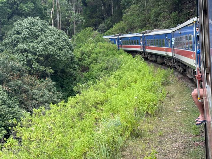 Vue panoramique d'un train traversant une végétation luxuriante.