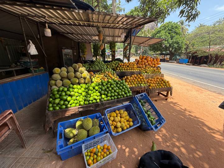 Étal de fruits avec divers fruits tropicaux exposés.