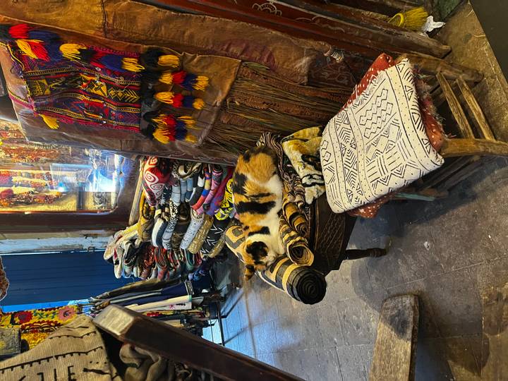 Cat resting on a pile of fabrics in a shop with colorful textiles.