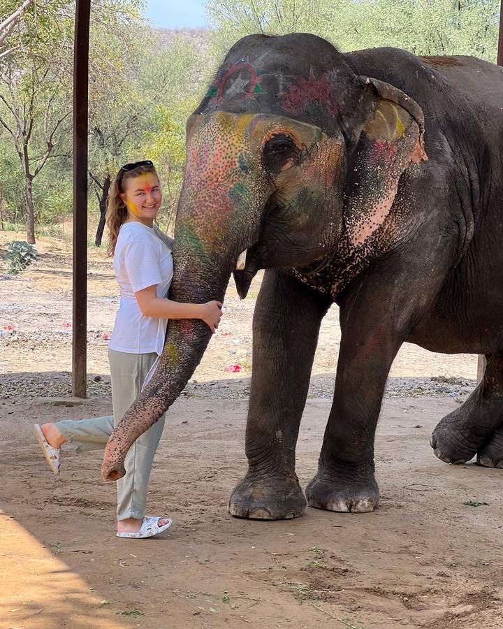 Woman and an elephant covered in colored powder.