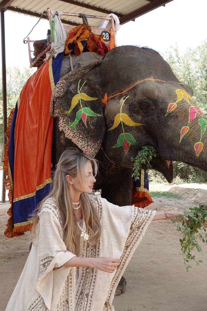 A person sitting next to a decorated elephant.