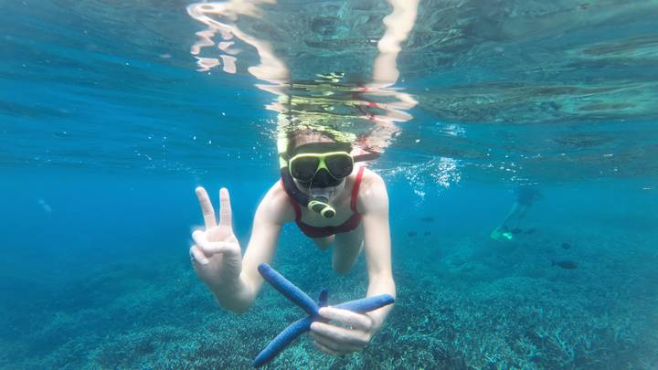 Snorkeler underwater with starfish.