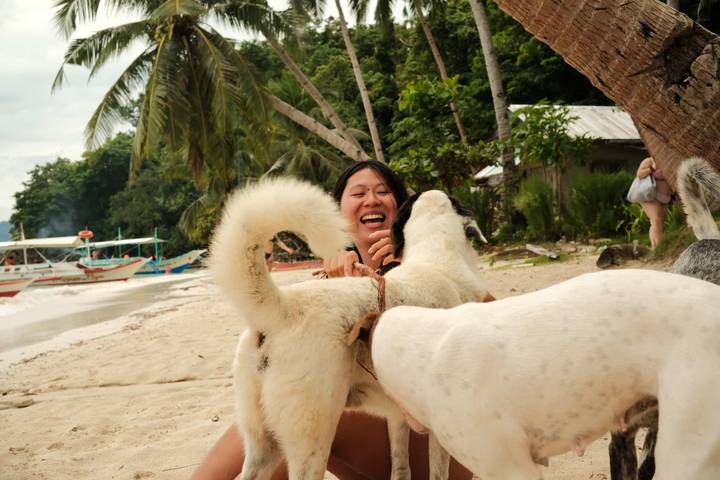 Persoon die met honden speelt op een strand.