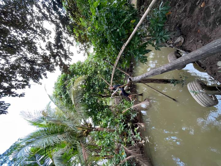 Person crossing a small river on a narrow wooden bridge in a lush area.