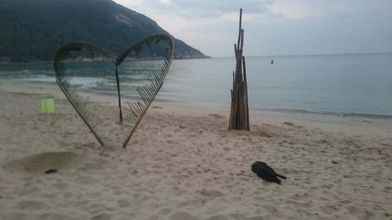 Beach with heart-shaped palm installation and ocean view.