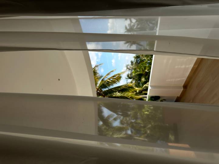 View through a curtain of a balcony with palm trees.