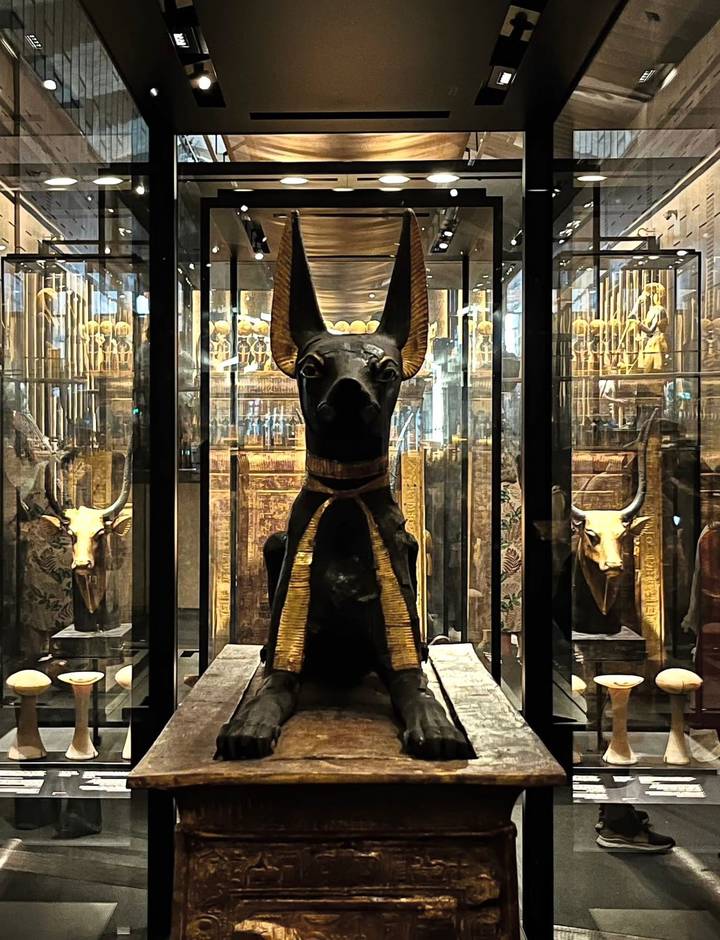 Black Anubis statue in a glass display case.