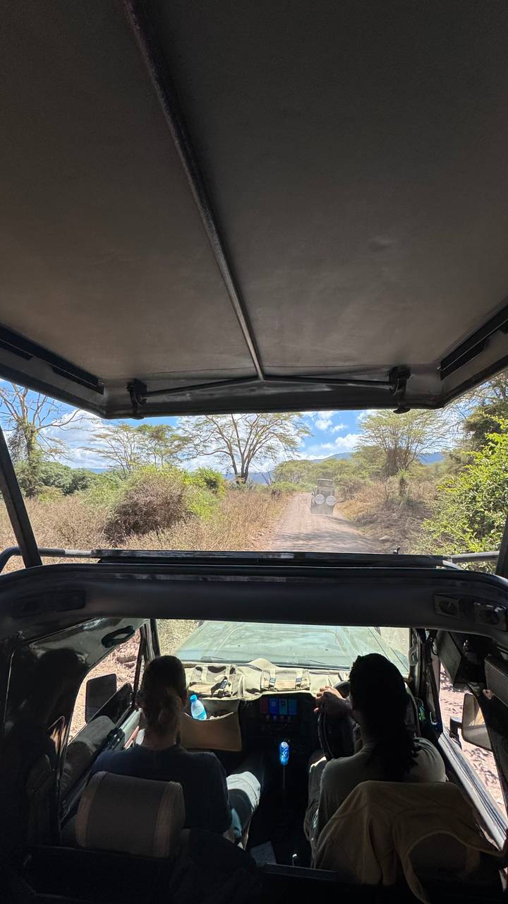 Blick aus einem Safari-Jeep auf eine unbefestigte Straße.