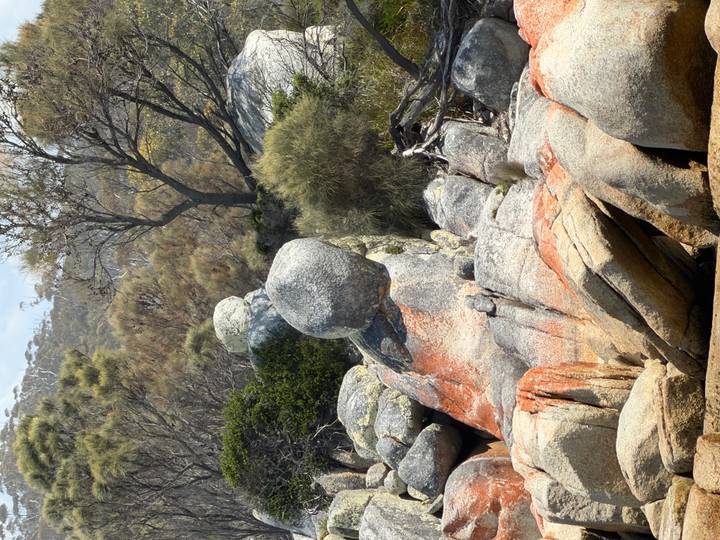 Rotsformaties met oranje tint tussen het groen.