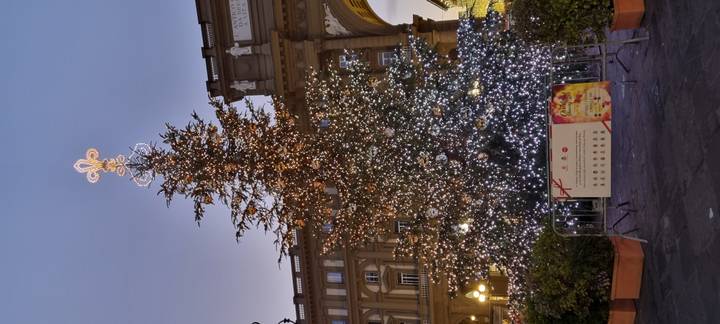 Kerstboom op een stadsplein met sierlijke decoraties.