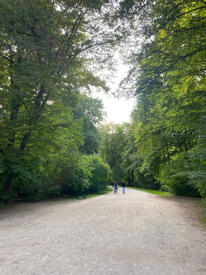 Tree-lined path in a park with people walking.