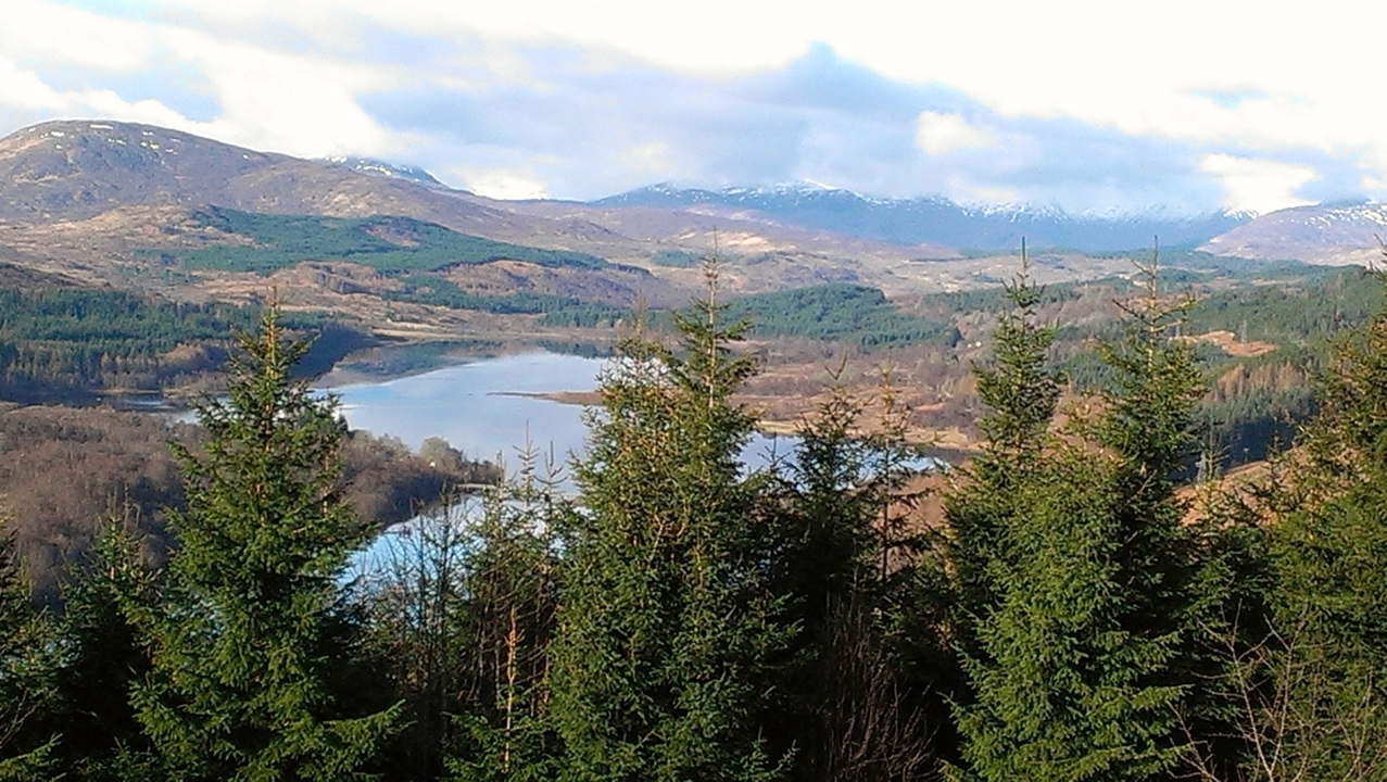 A panoramic view of a lake surrounded by forests and mountains in the distance.