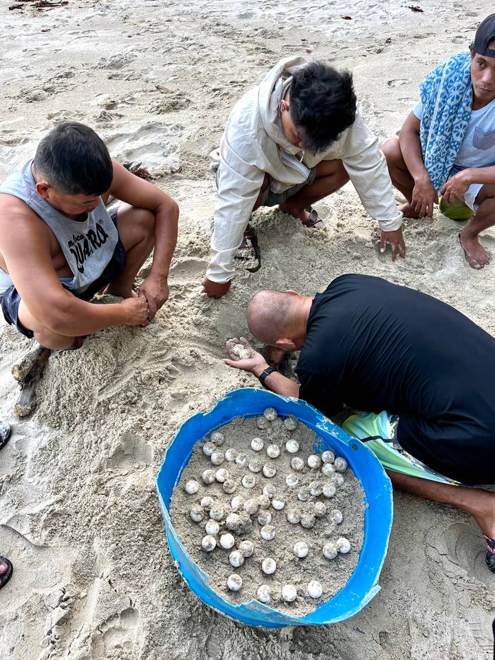 Mensen die graven en bollen sorteren in het zand.