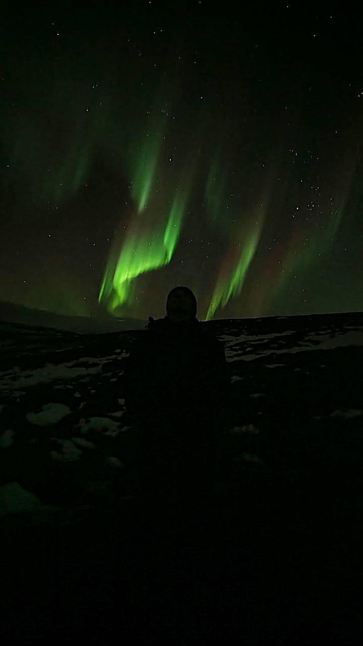 Persona silueteada contra la aurora boreal en el cielo.