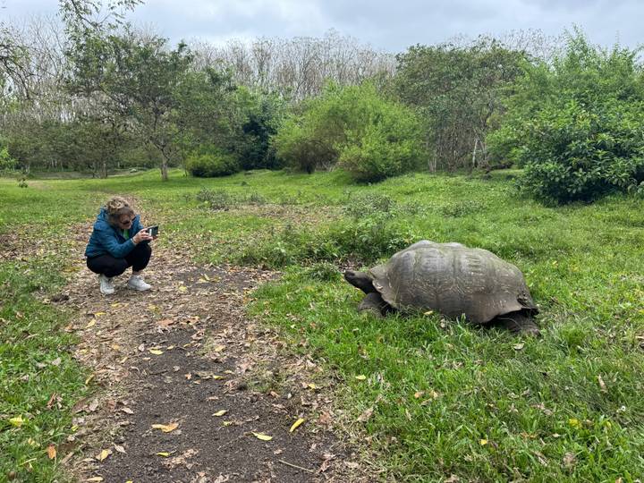 Persona fotografiando una tortuga gigante en un entorno exuberante.