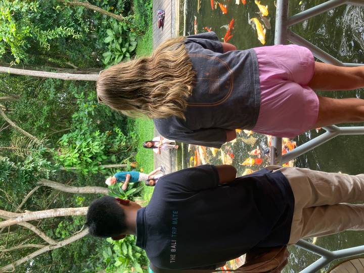 Des gens observant un bassin avec des poissons colorés.