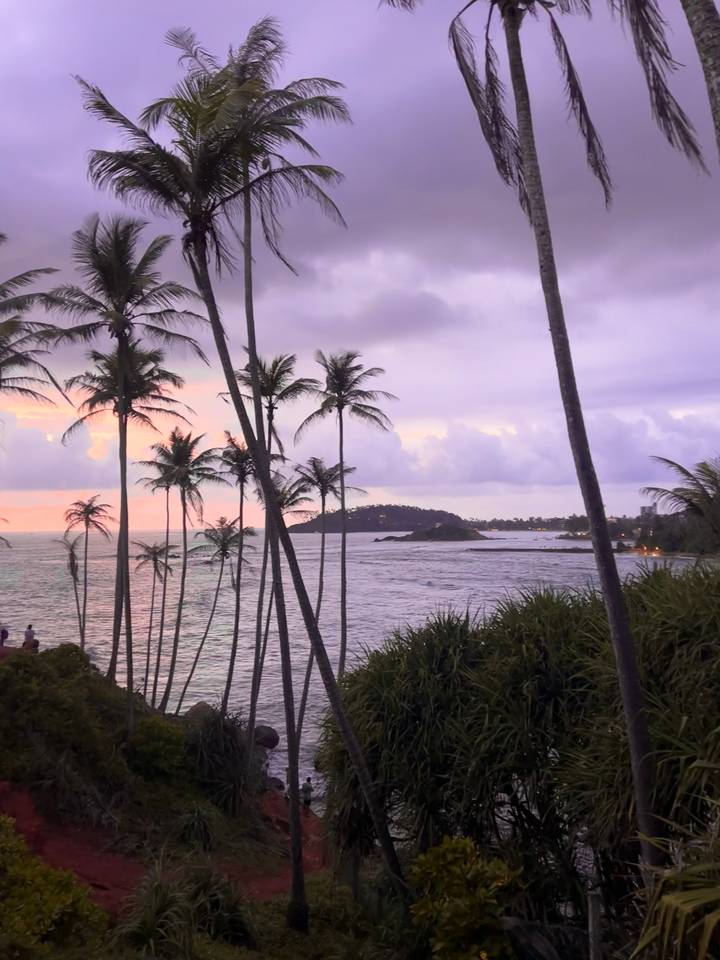 A view of the ocean during sunset with palm trees.