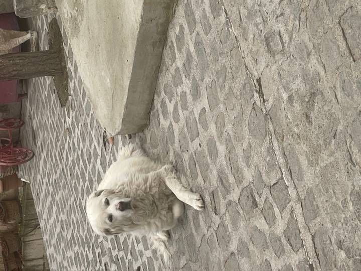 Woman wearing pink coat and sunglasses in front of rock formations.