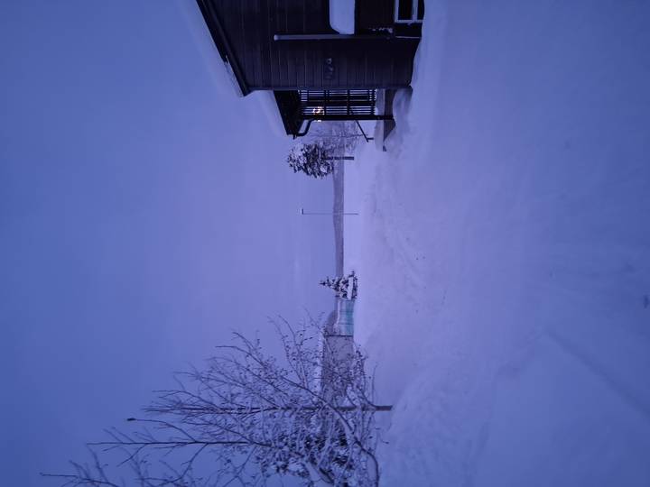 Paysage enneigé avec des arbres et une cabane.