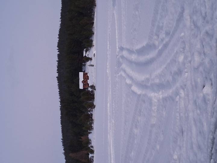 Cabane dans la neige avec des traces qui y mènent, entourée d'arbres.