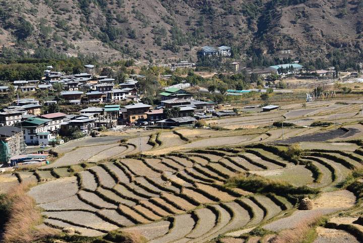 Terrassierte Reisfelder mit einem Dorf und Bergen dahinter.
