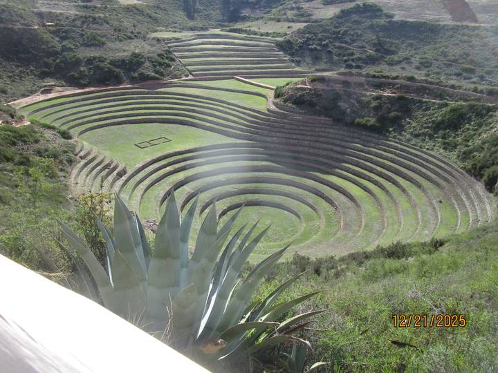 Circular agricultural terraces in a green landscape.