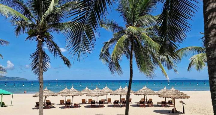 Tropischer Strand mit Palmen und Stromsonnenschirmen entlang der Küstenlinie.
