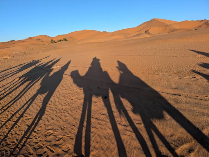 Ombres de chameaux et de personnes sur les dunes de sable pendant le coucher du soleil au Maroc.