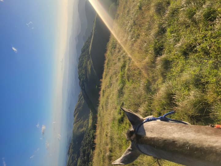 A scenic view with hills and a horse's viewpoint.
