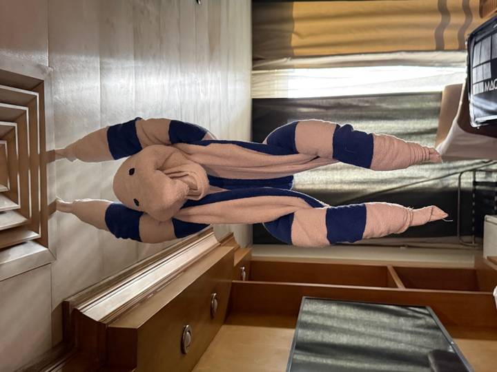 Serviette pliée en forme d'éléphant suspendue au plafond.