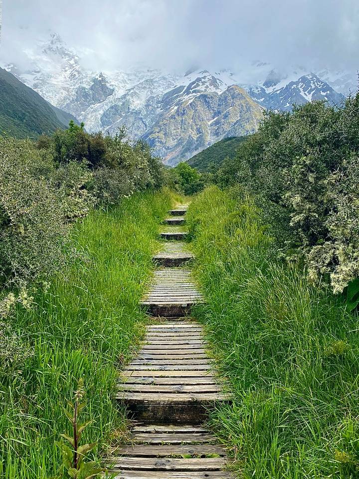 Sentier à travers une végétation luxuriante menant à des vues sur les montagnes.
