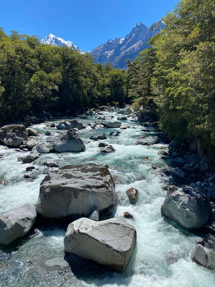 Rivière au courant rapide avec de grosses pierres entourée d'arbres.