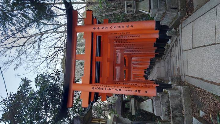 Fushimi Inari Taisha's red torii gates.