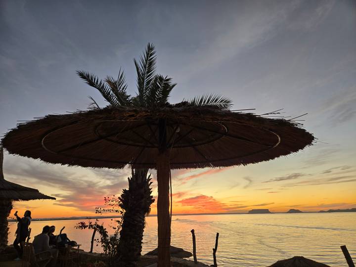 Beach scene with sunset and palm umbrellas.