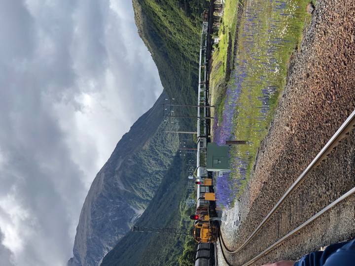 Vías férreas con un fondo de montañas exuberantes y flores silvestres.