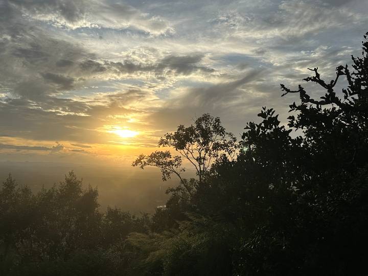 Un coucher de soleil avec une vue sur les arbres et un ciel dramatique.