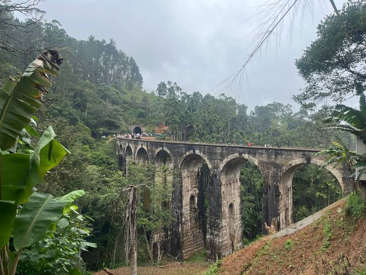 Scenic view of an old viaduct bridge in a lush forest setting.