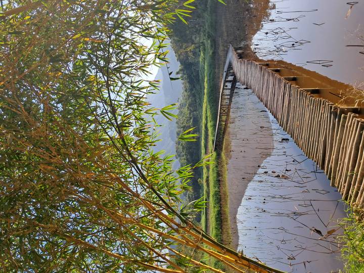 Puente de madera que cruza un cuerpo de agua tranquilo y reflectante con montañas al fondo.