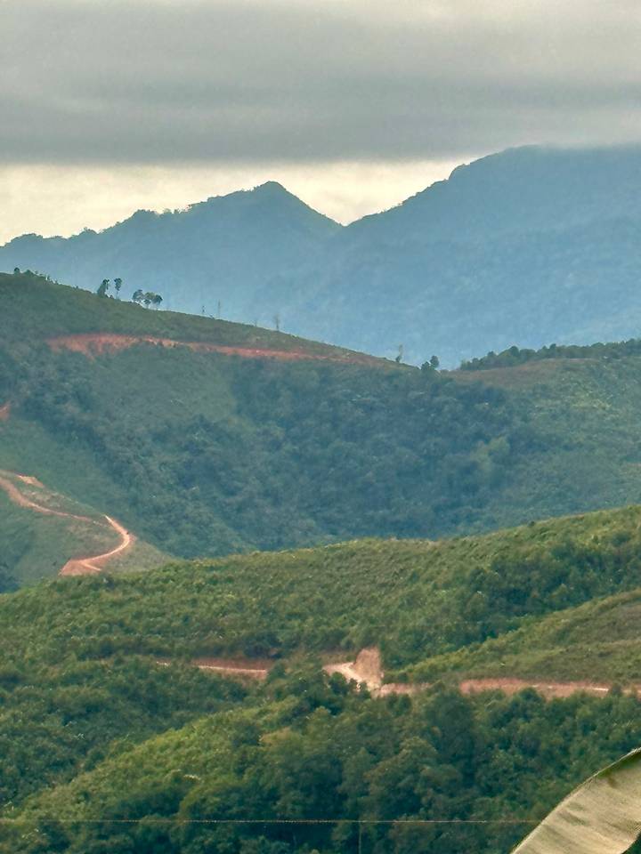 Paisaje de colinas con parches de bosque bajo un cielo brumoso.