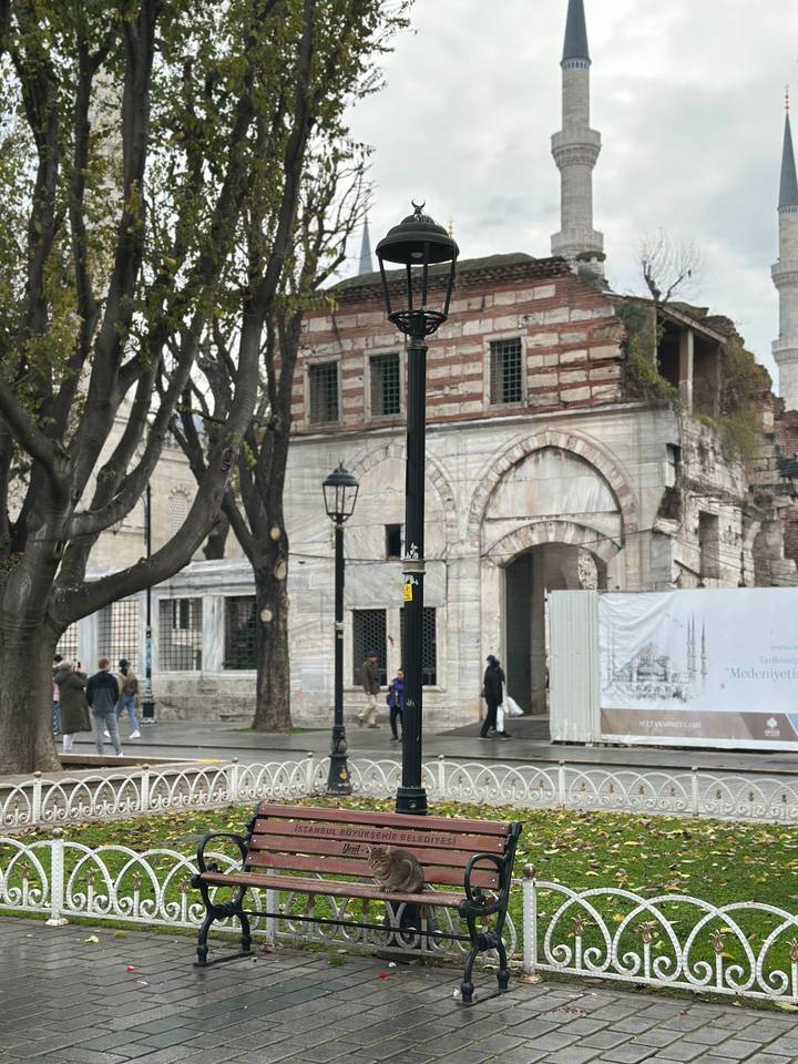 Rue historique avec des arbres et des gens qui marchent.