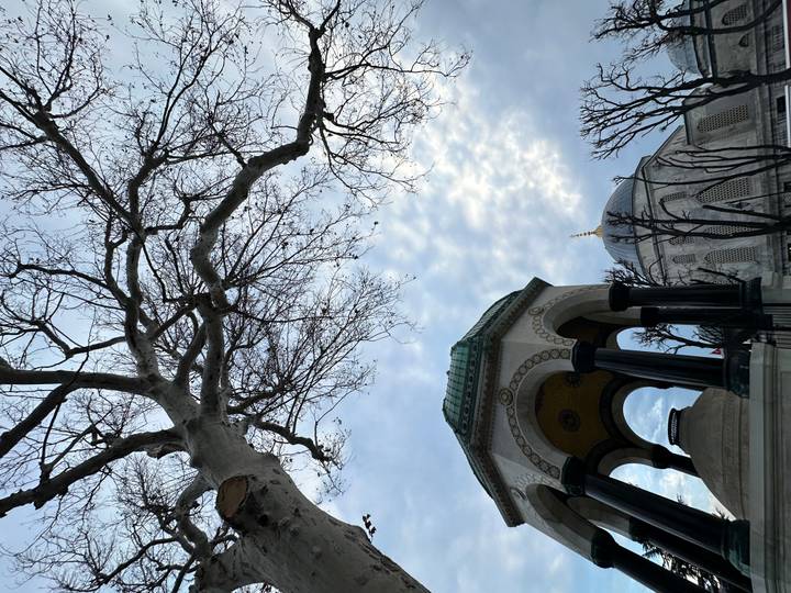 Gloriette à dôme et arbres dans un cadre de parc.