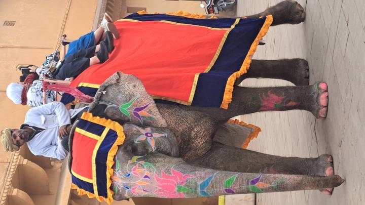 Un éléphant avec des décorations colorées portant des gens.