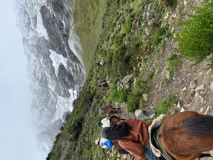 Group of people on horseback trekking through mountainous terrain.