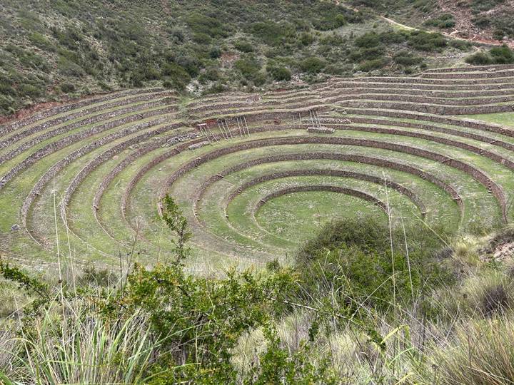 Circular agricultural terraces surrounded by greenery.