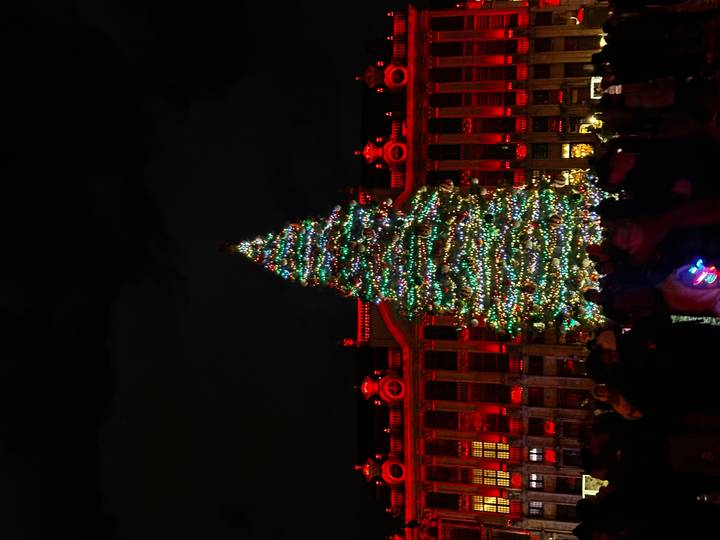 Des gens rassemblés autour d'un sapin de Noël illuminé la nuit.