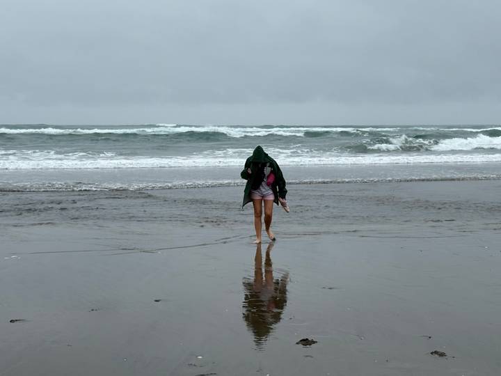Personne marchant sur une plage venteuse.