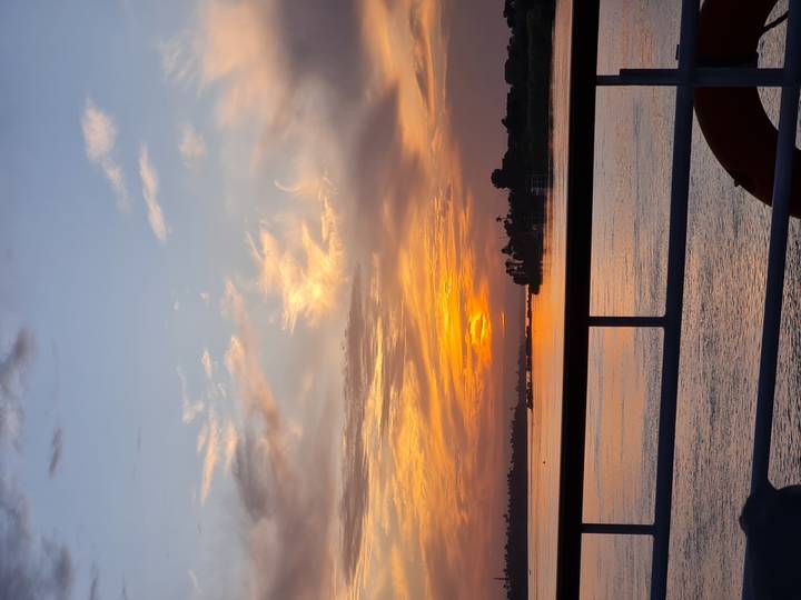 Beautiful sunset over a river with silhouetted trees.