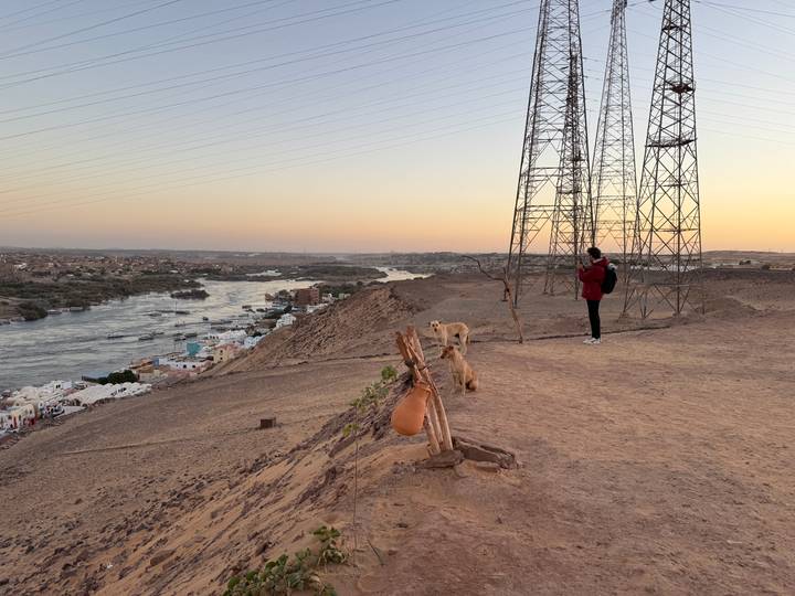 Landscape view of a river with a person and dogs.